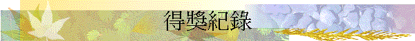 得獎紀錄