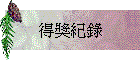 得獎紀錄