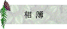   ï